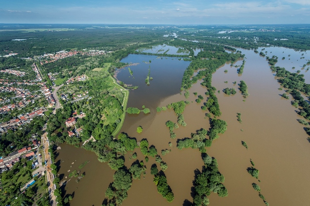 Die Elbe bei Schönberg Deich